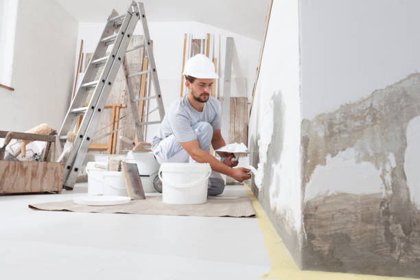 Professional Painting in Lakeside, TX